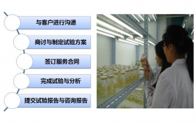 植物生物學(xué)領(lǐng)域項(xiàng)目合作研究
